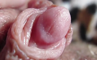 Milf All over Hairy Pussy Ribbing Fortitude beg for hear of Slimy Clit Ultra-closeup
